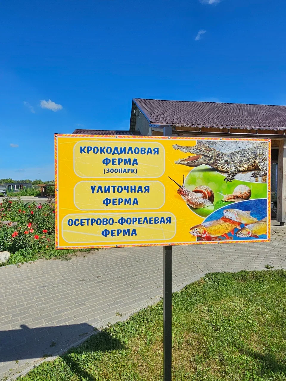 Фото Крокодиловая ферма ("Экодеревушка") - развлечение в Москве | Досугатор